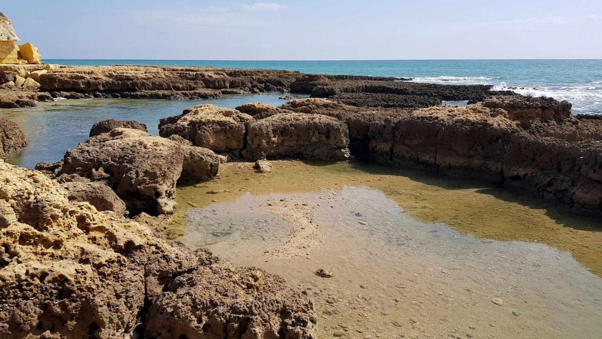 Albufeira Sea View Leilighet Eksteriør bilde