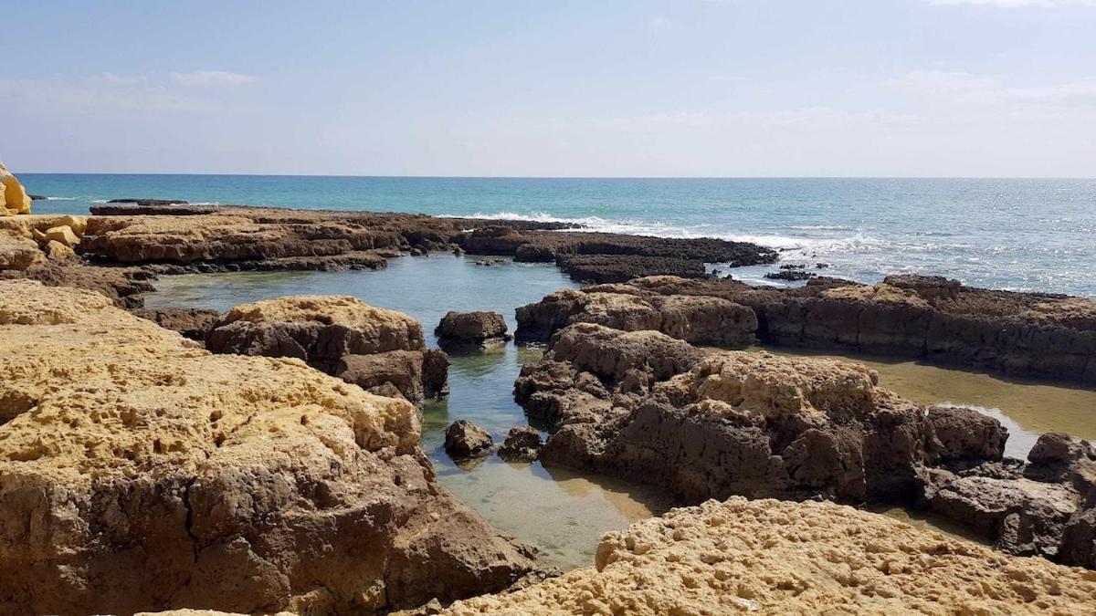 Albufeira Sea View Leilighet Eksteriør bilde